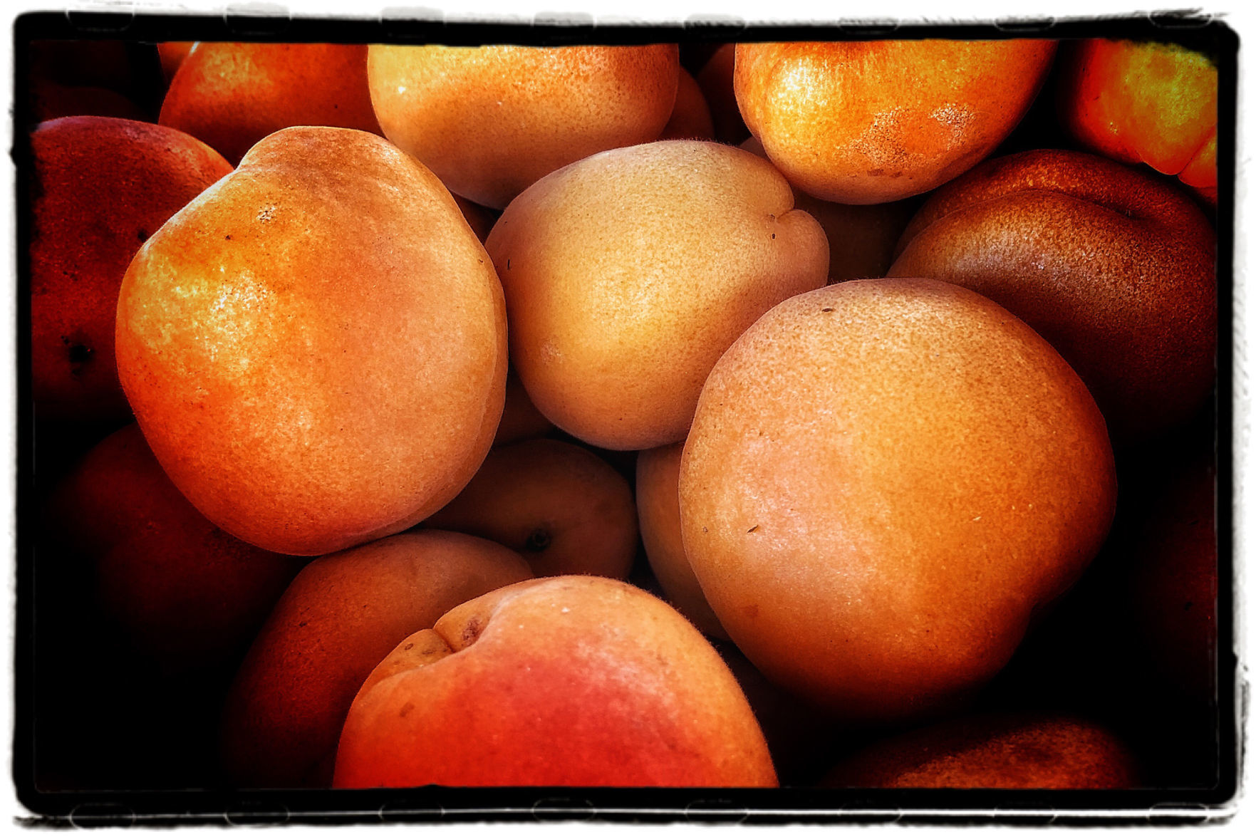 Farmers Market Produce